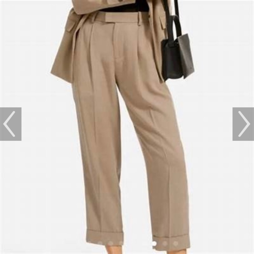 Everlane Put-Together Pleat Pant